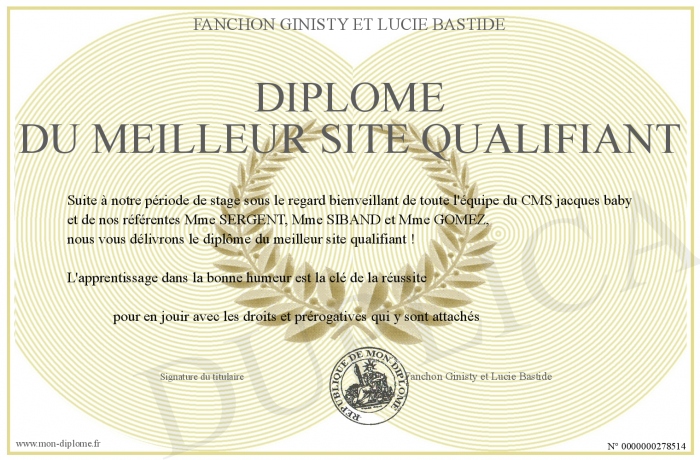 diplome qualifiant